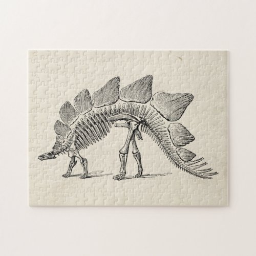 Stegosaurus Dinosaur Skeleton Fossil Jigsaw Puzzle