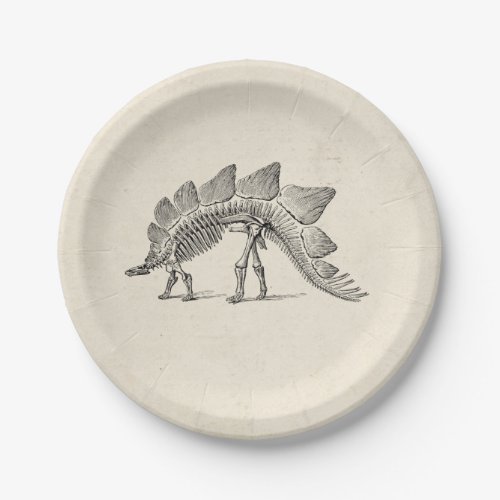 Stegosaurus Dinosaur Skeleton Fossil Paper Plates