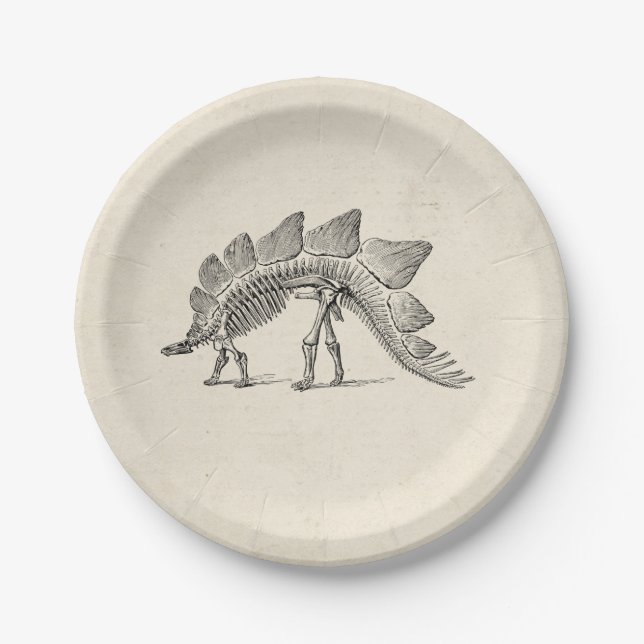 Stegosaurus Dinosaur Skeleton Fossil Paper Plates (Front)