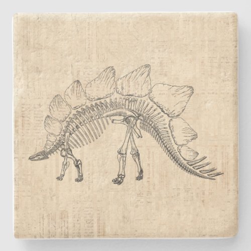 Stegosaurus Dinosaur Skeleton Vintage Script Paper Stone Coaster