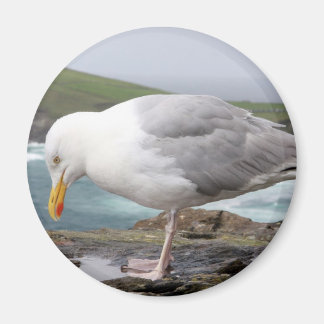 stehende Moewe Magnet