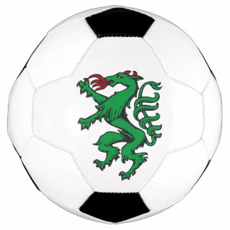 Steiermark Rot Grün Wappen Panther Austria Soccer Ball