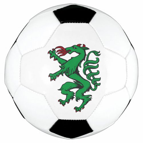 Steiermark Rot Grn Wappen Panther Austria Soccer Ball