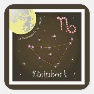 Steinbock 22 December to 20 January sticker