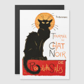 Steinlen Black Cat Classic French Chat Noir Poster (Front/Back)