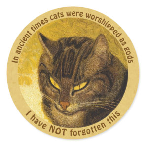 Steinlen Grumpy cat head quote Cat on a balustrade Classic Round Sticker