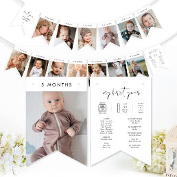 STELLA Baby First Year Monthly Photo Banner