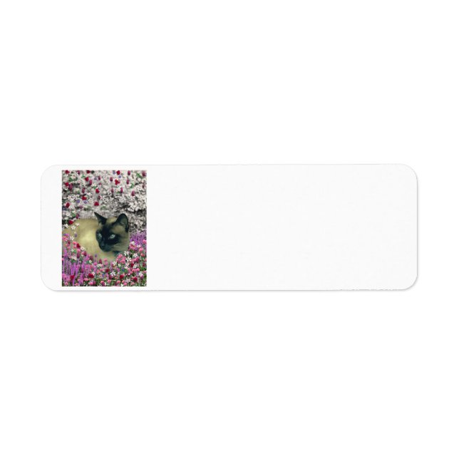 Stella in Flowers I – Chocolate Cream Siamese Cat Label (Front)