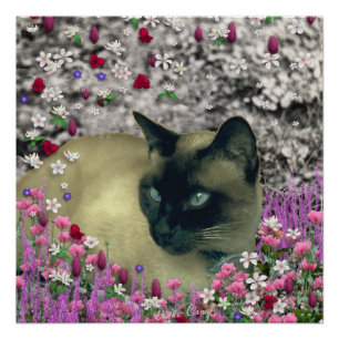 Stella in Flowers I, Chocolate & Cream Siamese Cat Poster