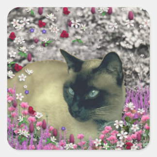 Stella in Flowers I – Chocolate Cream Siamese Cat Square Sticker