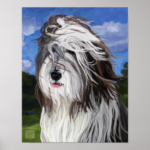 Stella the English Sheep Dog Poster