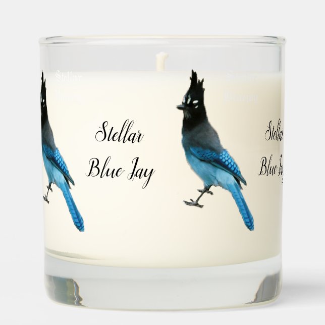 Stellar Blue Jay glass candle (Front)