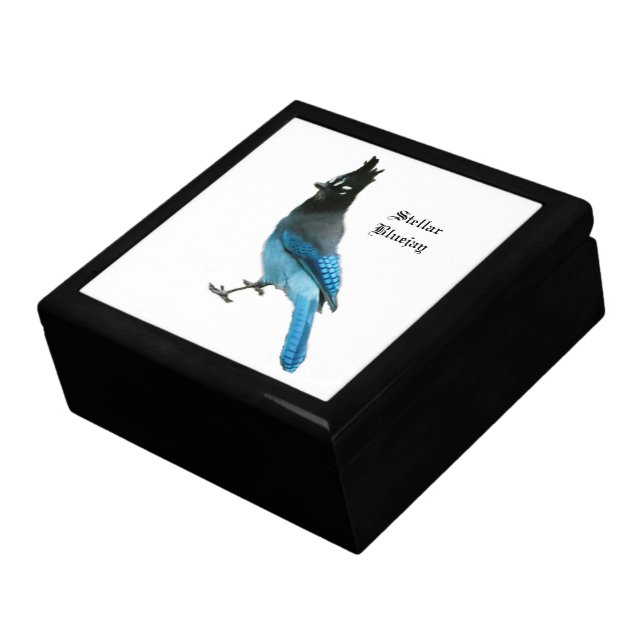 Stellar Blue Jay keepsake box (Side)