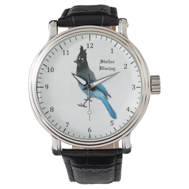 Stellar Blue Jay watch (Front)