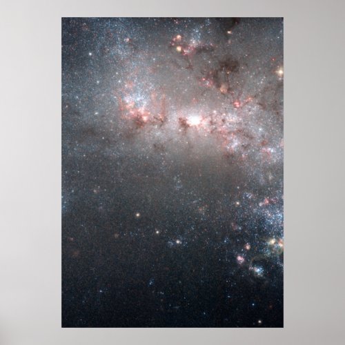 Stellar Fireworks Are Ablaze in Galaxy NGC 4449 Poster