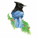 Stellar Jay, British Columbia, Bird, Nature Statuette<br><div class="desc">The Stellar Jay is the Provincial bird of British Columbia</div>