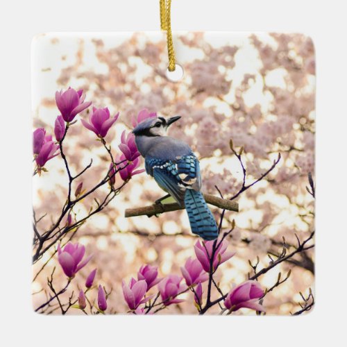 Stellar Jay Ceramic Ornament