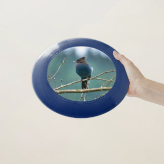 Stellar Jay Wham-O Frisbee