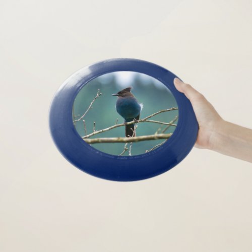 Stellar Jay Wham_O Frisbee