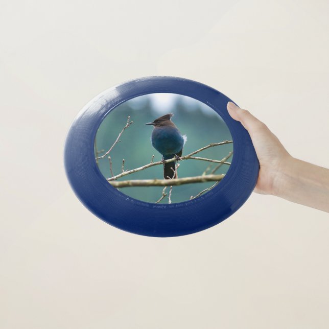 Stellar Jay Wham-O Frisbee (In Hand)