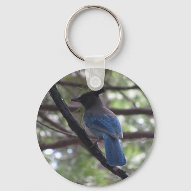 Stellar Jay- Yosemite Keychain (Front)