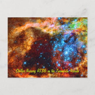 Stellar Nursery R136 in the Tarantula Nebula Postcard