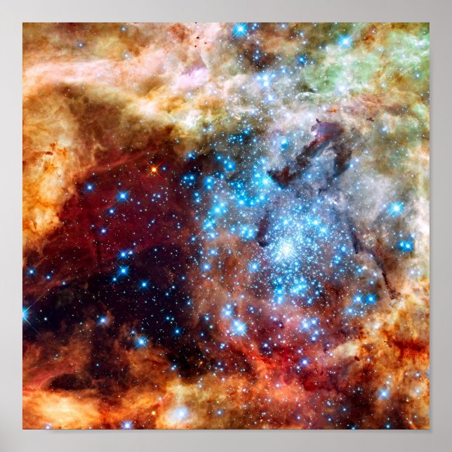 Stellar Nursery R136 Tarantula Nebula NASA Photo Poster (Front)