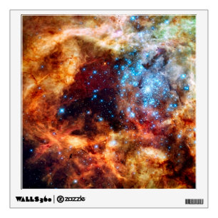 Stellar Nursery R136 Tarantula Nebula NASA Photo Wall Decal