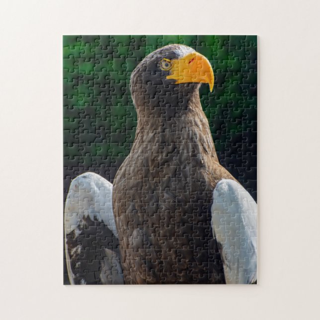 Stellar Sea Eagle Jigsaw puzzle (Vertical)