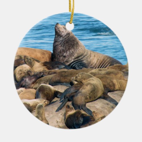 Stellar sea lion and harbor seal ornament