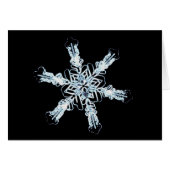 Stellar snow crystal (Front Horizontal)