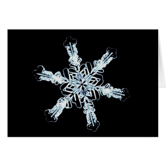 Stellar snow crystal cards (Front Horizontal)
