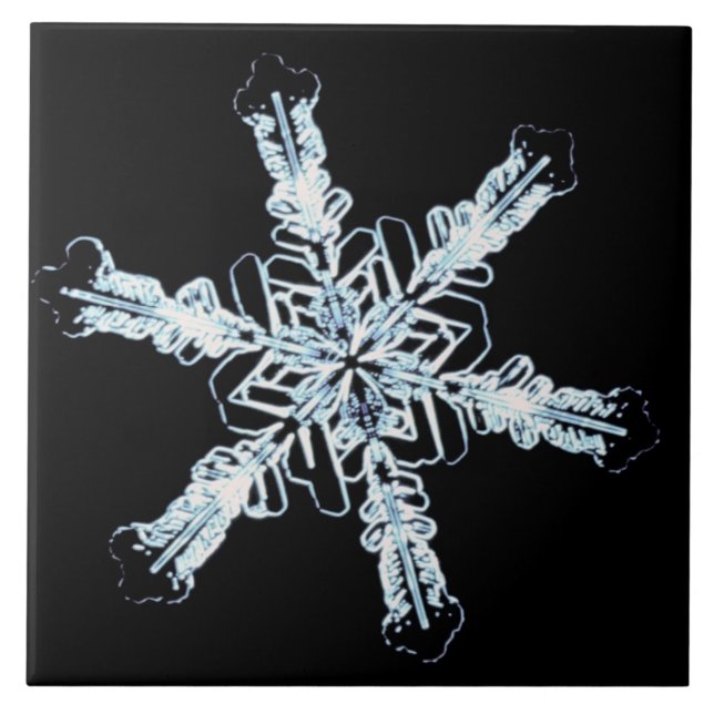 Stellar snow crystal ceramic tile (Front)
