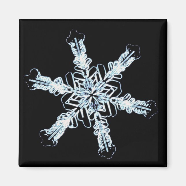 Stellar snow crystal magnet (Front)