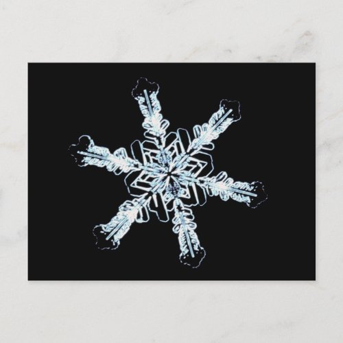 Stellar snow crystal postcard