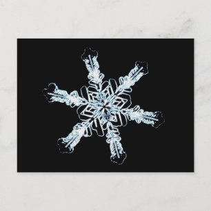 Stellar snow crystal postcard