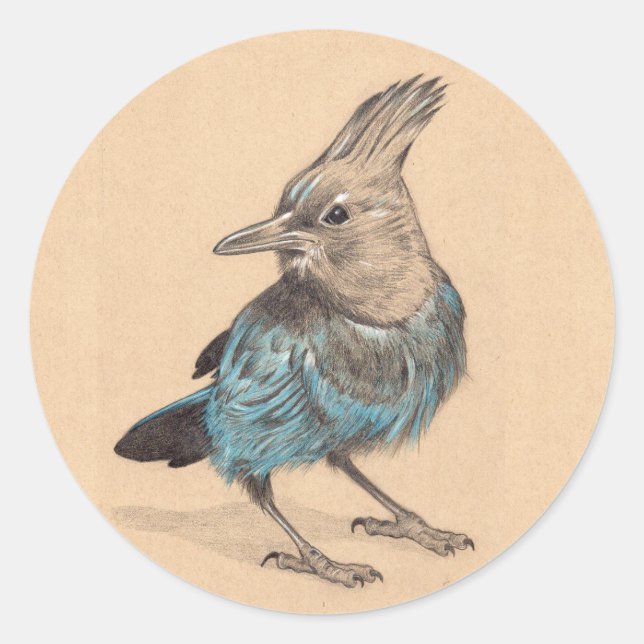 Stellar's Jay Classic Round Sticker (Front)