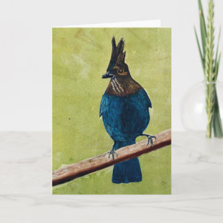 Stellar's Jay NOTE CARD