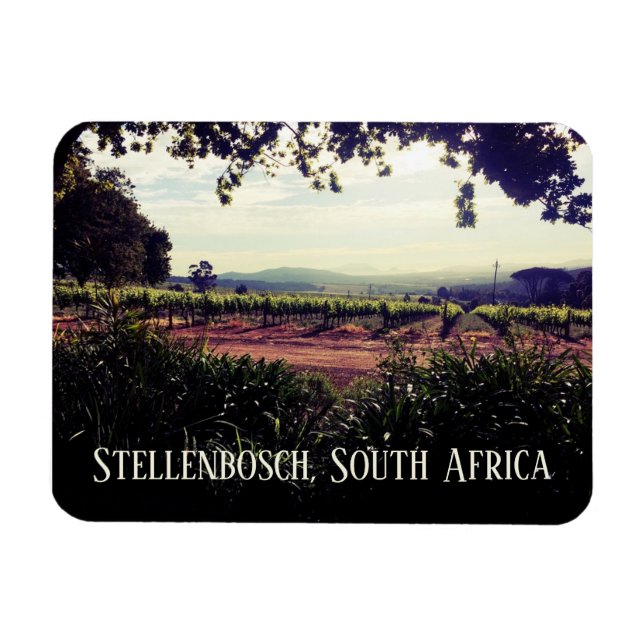 Stellenbosch, South Africa Magnet (Horizontal)