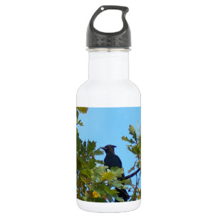 Steller Jay in Oak Tree Stainless Steel Water Bottle
