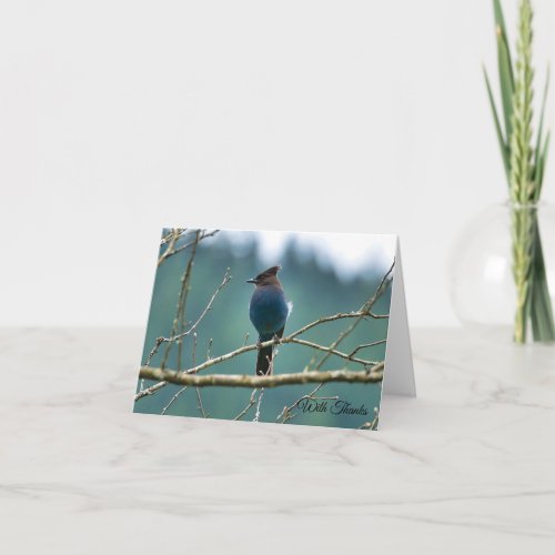 Steller Jay Thank You Card