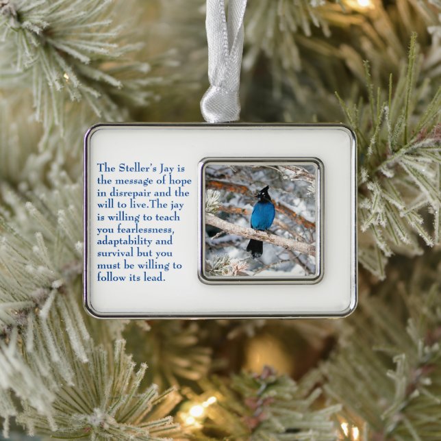 Steller’s Jay Christmas Ornament (Tree)