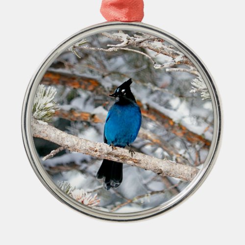 Stellers Jay Round Metal Ornament