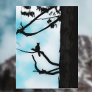 Stellers Blue Jay Bird Silhouette Tahoe Tree Photo Postcard