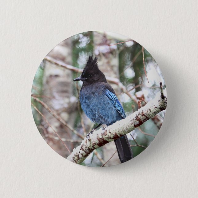 Steller's Jay Button (Front)