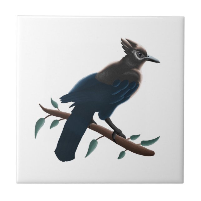 Steller's Jay  Ceramic Tile (Front)