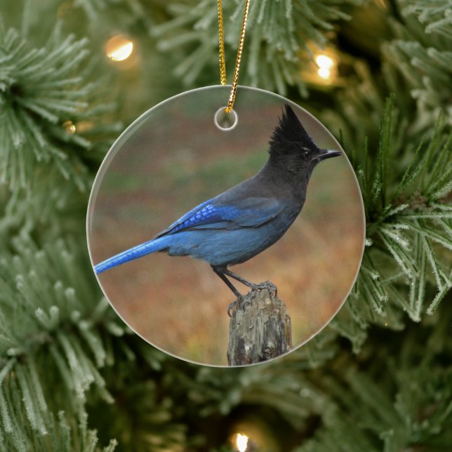 Steller's Jay (Cyanocitta stelleri) Ceramic Ornament (Tree)
