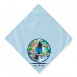 Steller's Jay in Forest Original Photograph Bandana