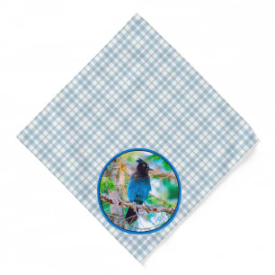 Steller's Jay in Forest Original Photograph Bandana