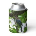 Steller's Jay in Yosemite National Park Can Cooler